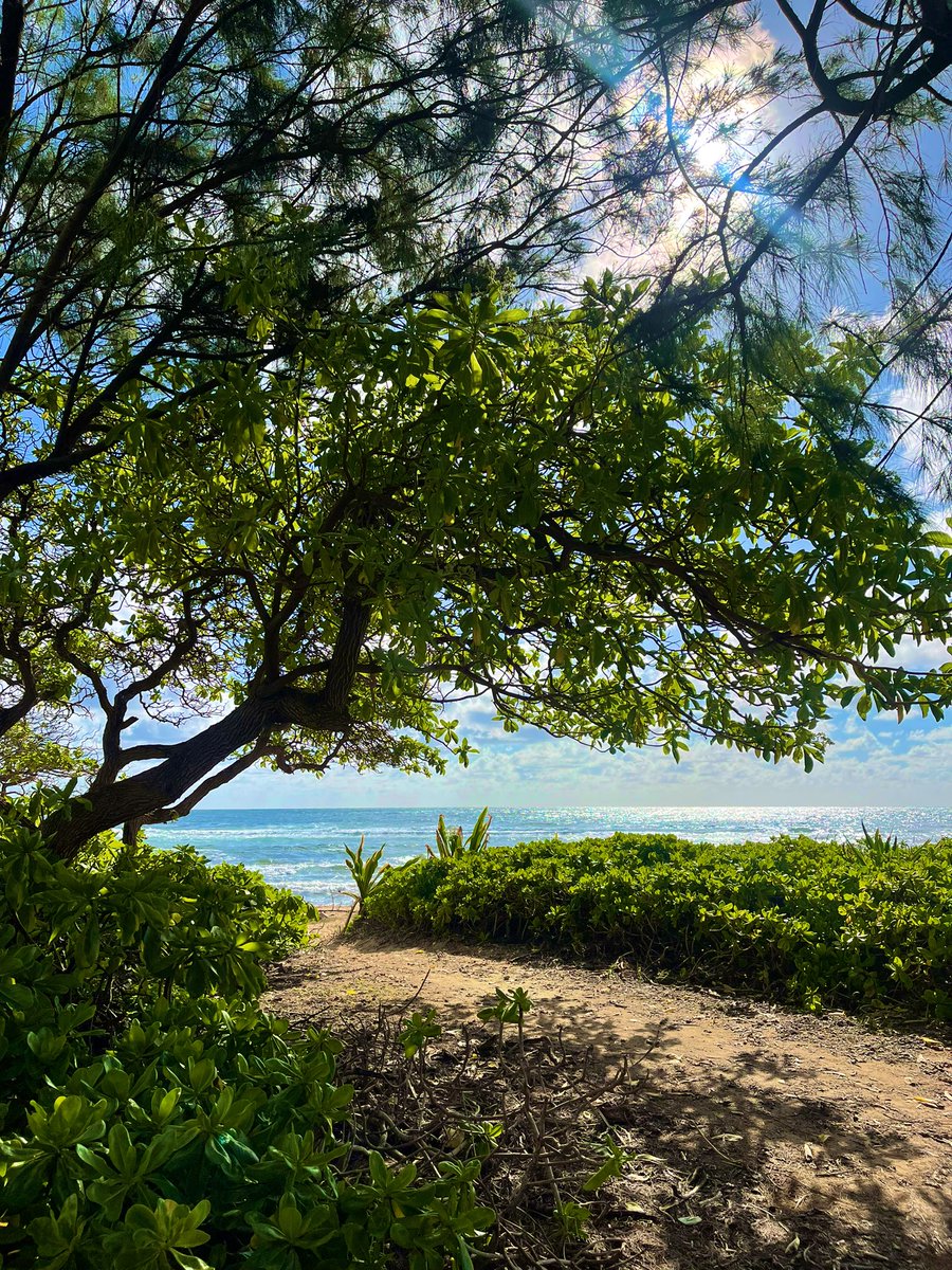 andyjamesrivera's tweet photo. Wishing I was still on island time #Kauai https://t.co/EcGpVJPlaz