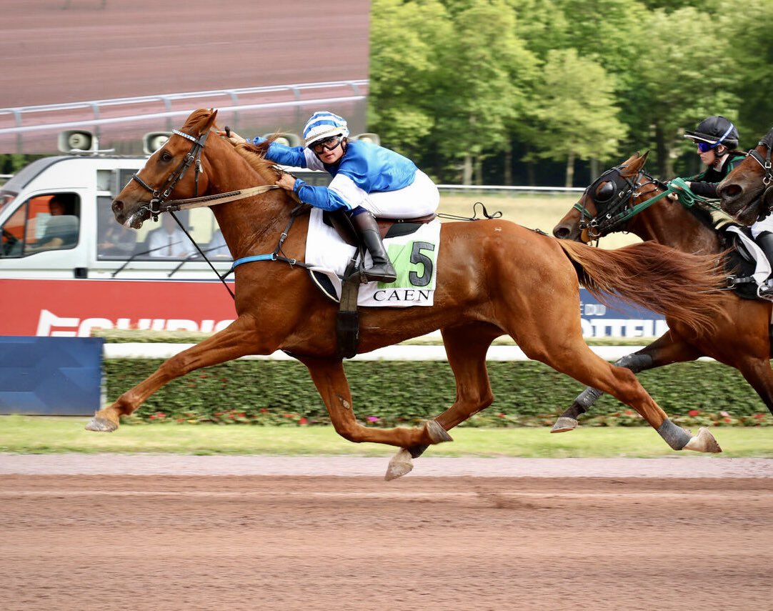 ⭐️UN AMOUR D’HAUFOR⭐️ Série au monté 🏆🏆🏆

🥇 Ivoire du Cèdre s’impose à Caen pour la troisième fois consécutive !

👏🏼 Cl.Thomain / JC.Rigault / I.Fraigne / JP.Thomain 

#UnAmourdHaufor

📸 Scoopdyga.com