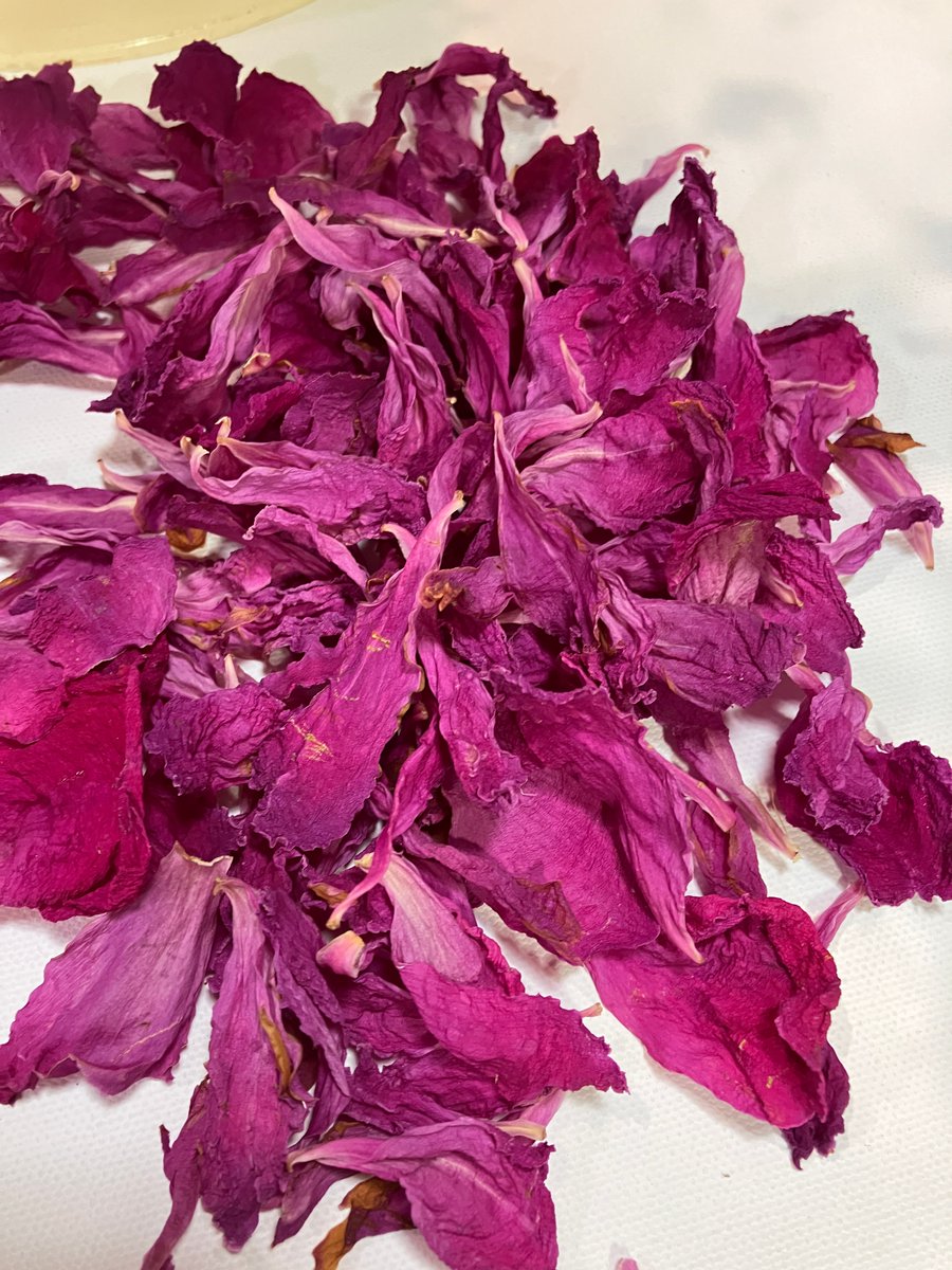 FlowerPodReach's tweet photo. Wedding Season is here!!

Why not add some beautiful natural confetti to your day.

If you would like to order please contact the Flower Pod Southwell Team: 01636 918271

#wedding #weddingday #weddingideas #bigday #specialday #gettingmarried #confetti https://t.co/L2fEehwVH3
