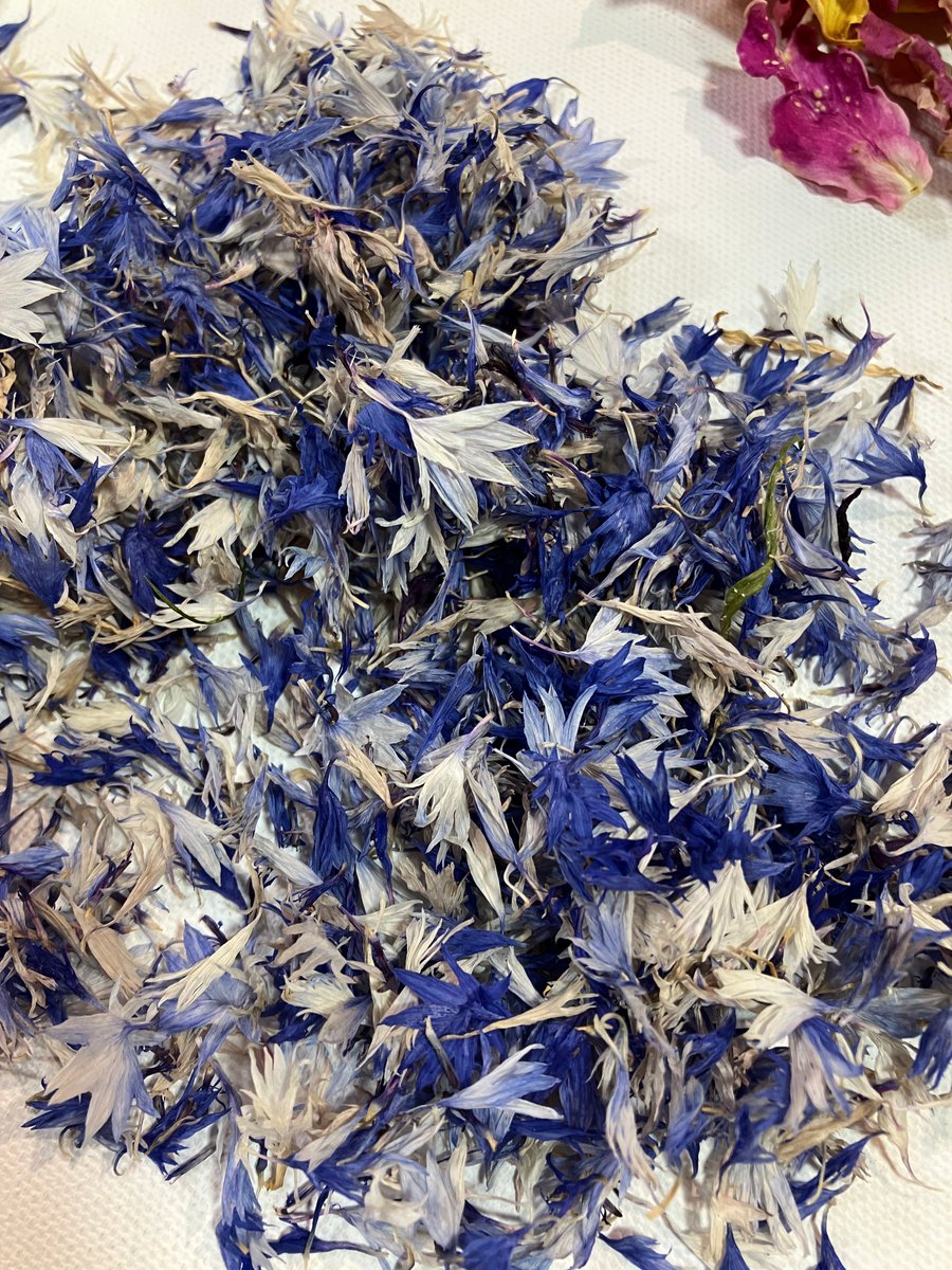 Wedding Season is here!!

Why not add some beautiful natural confetti to your day.

If you would like to order please contact the Flower Pod Southwell Team: 01636 918271

#wedding #weddingday #weddingideas #bigday #specialday #gettingmarried #confetti