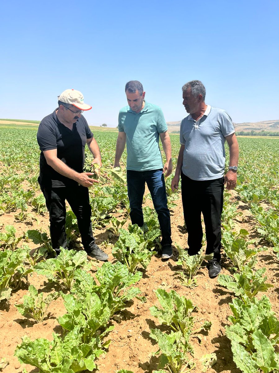suleymannsoyluu's tweet photo. Tarımda Tam Destek programı kapsamında Sector Tarim teknik ekibi ile Ilgın ilçemizdeki mısır, buğday,şekerpancarı, arpa, yonca ve haşhaş alanlarında incelemeler yaptık, çiftçilerimizi ziyaret ettik sorularını cevaplandırdık..
#sectortarim #tamdestek #arge https://t.co/1ixTFntmd6