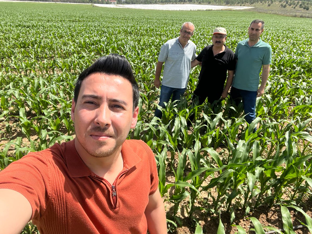 suleymannsoyluu's tweet photo. Tarımda Tam Destek programı kapsamında Sector Tarim teknik ekibi ile Ilgın ilçemizdeki mısır, buğday,şekerpancarı, arpa, yonca ve haşhaş alanlarında incelemeler yaptık, çiftçilerimizi ziyaret ettik sorularını cevaplandırdık..
#sectortarim #tamdestek #arge https://t.co/1ixTFntmd6