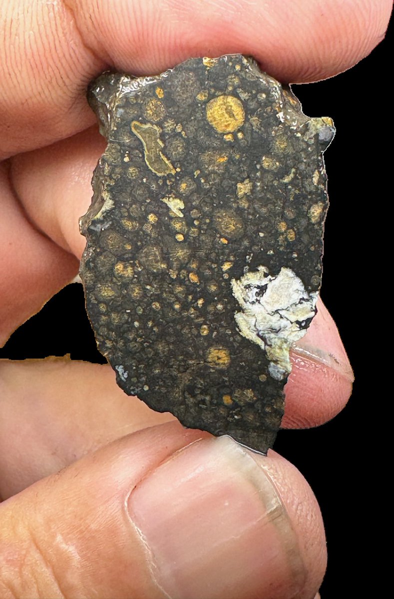 This is a slice of a new CV3 meteorite that is being classified. I was stunned when I sliced it, but the polish was shown to me today. There so many CAIs in this meteorite! It very likely contains pre solar grains and diamonds as well.#Meteorite