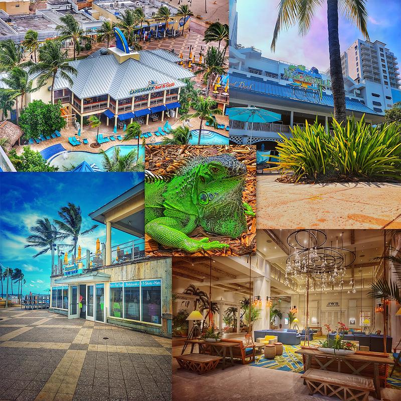 MichaelNMarsh's tweet photo. I’m a finalist in Margaritaville Beach Resort Hollywood Beach’s Story Contest. Help me rally votes: https://t.co/LpfKLJxRzE @Mville_HBR https://t.co/LiSStjWmTS