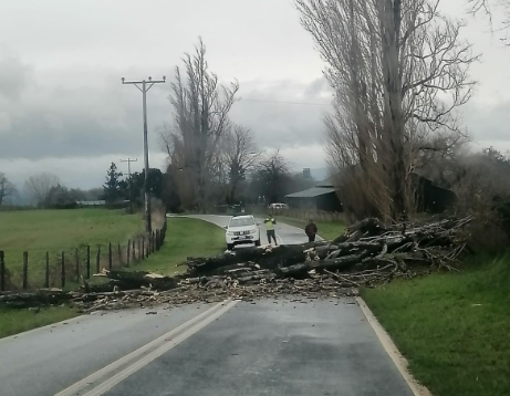 TTILosLagos's tweet photo. ⚠️ #ATENCIÓN: árbol caído en Ruta U-10 km 2,5, tramo #SanPablo a #Trumao. Precaución conductores, trabajos de despeje a realizarse en lugar. #Osorno

📷San Pablo Al Día. https://t.co/jjEH4mUGfd