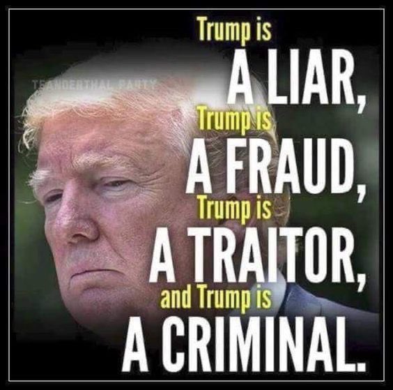 MaryHNJ's tweet photo. @OccupyDemocrats #LockHimUp #ConvictedFelonTrump https://t.co/61VsU1OFG5