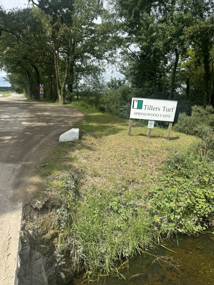 Baronessuk tweet media