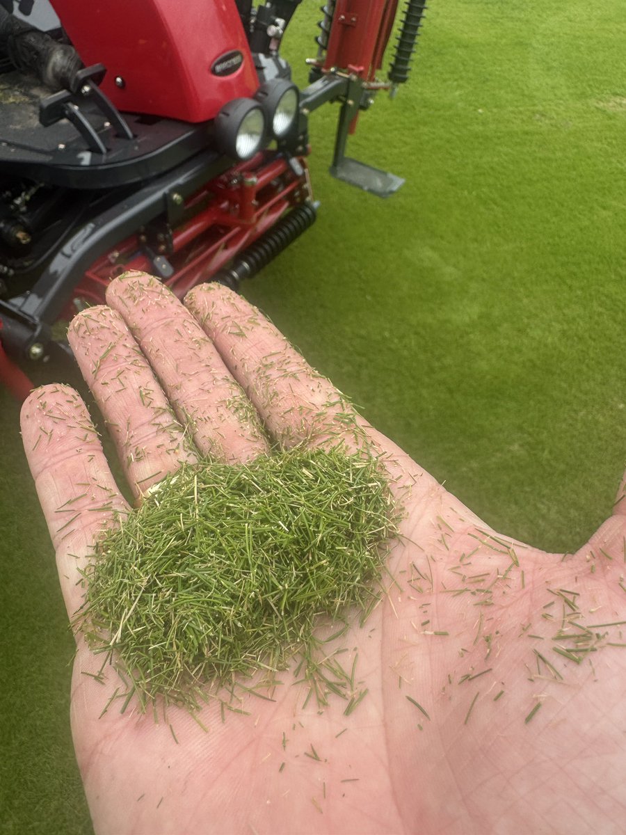 Baronessuk tweet media