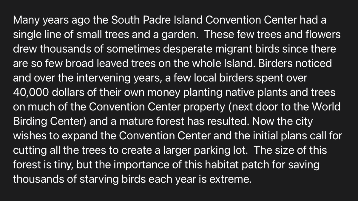 DylanBaddour's tweet photo. Inbox: South Padre Island residents spent years planting a native garden to support migratory birds. 

Now it’s slated for demolition to make room for a parking lot expansion. https://t.co/pJQ73DTFTU