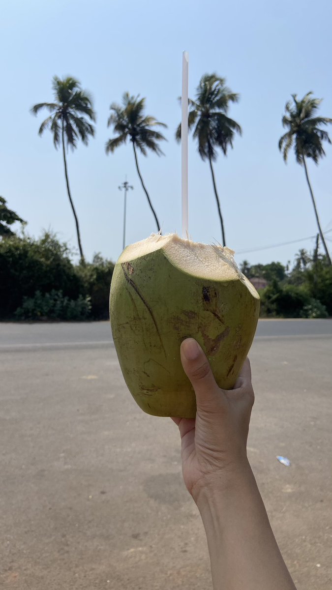 PagnisJuie's tweet image. Sandy beaches and sunny weather 🏖️🍲 🛶 🌅 🌴
#weekendphotodump 
.
.
.
.
.
.
#goa#travel#goabeach#goadiaries#beach#sand#foodporn#kayaking#southgoa#northgoa#goatourism#instadaily#instalike#instapic