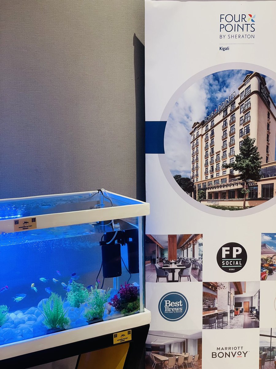 FactoryRwanda's tweet image. 