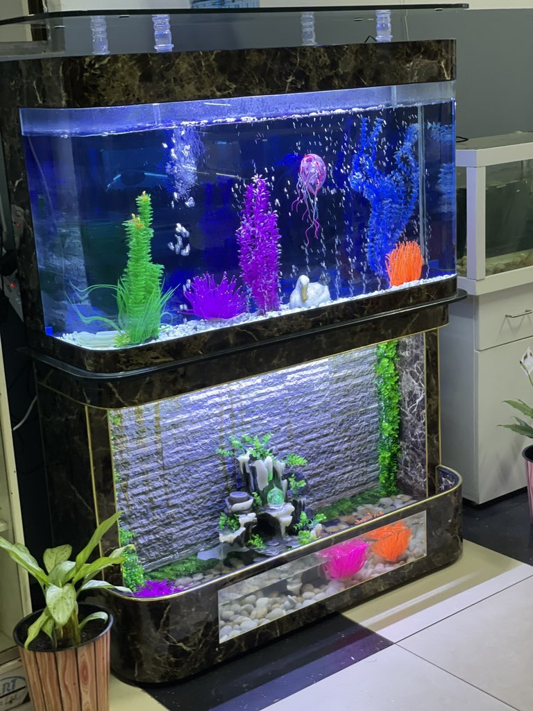 FactoryRwanda's tweet image. 