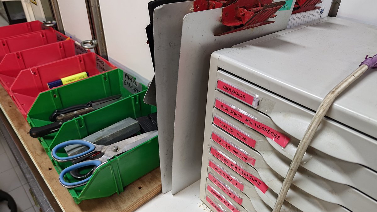 Todo apunto para empezar la campaña #MEDITS 2024 #GSA5 #IllesBalears #Mallorca #Menorca #FEMPA. Tras cargar material y personal científico a bordo del B/O #MiguelOliver durante el día de hoy, ¡mañana empezamos los nuestros!
🐟🦈🐙🦑🦀🦐🐚🪸🪼🌱