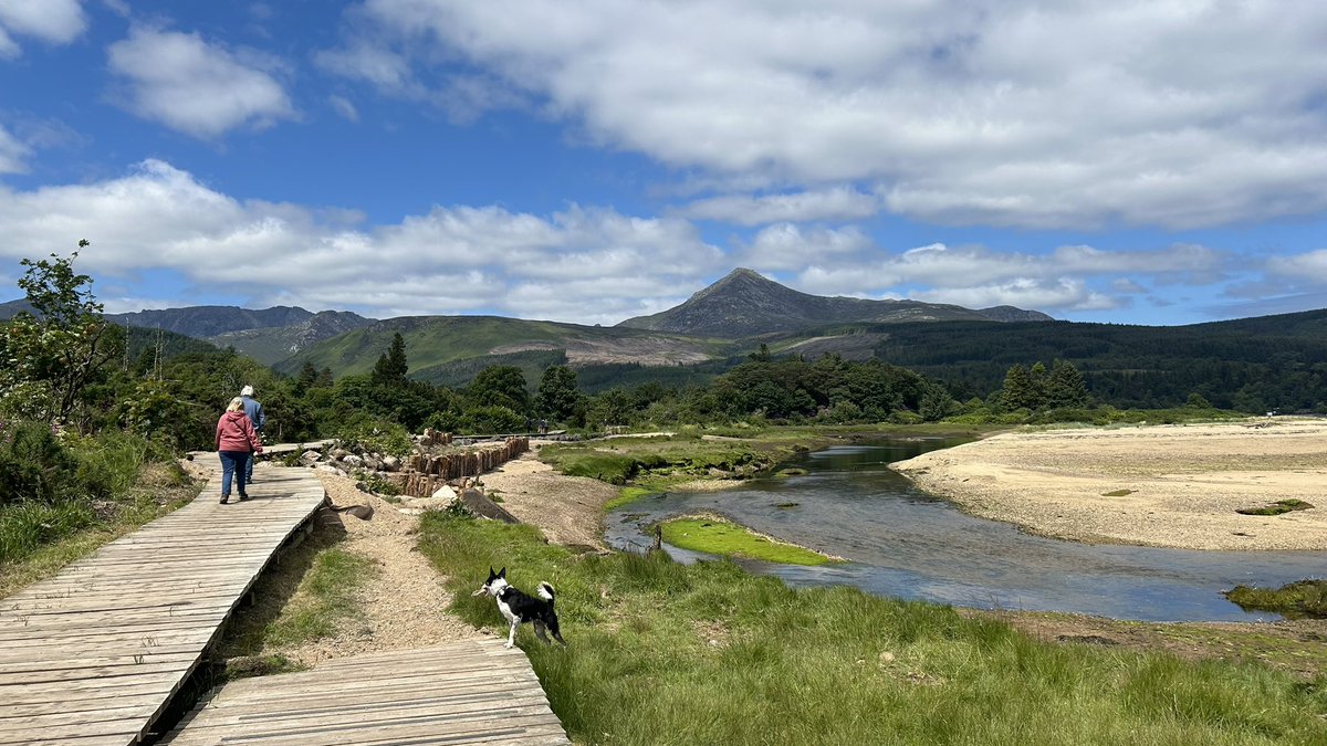 vivienne7's tweet image. Another glorious day in paradise ☀️ 😍
This was Myles’ favourite walk - the Fisherman’s Walk in #Brodick 
#Lamlash &amp;amp; Holy Isle looking gorgeous too