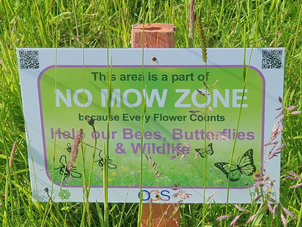 Kevin_Clements's tweet photo. Day 12 #30DaysWild
#NoMowZone in Telford #Shropshire Common Spotted & Southern Marsh Orchids @WildlifeTrusts @NE_WestMids @HMLandRegistry https://t.co/lOh7o1KpHi
