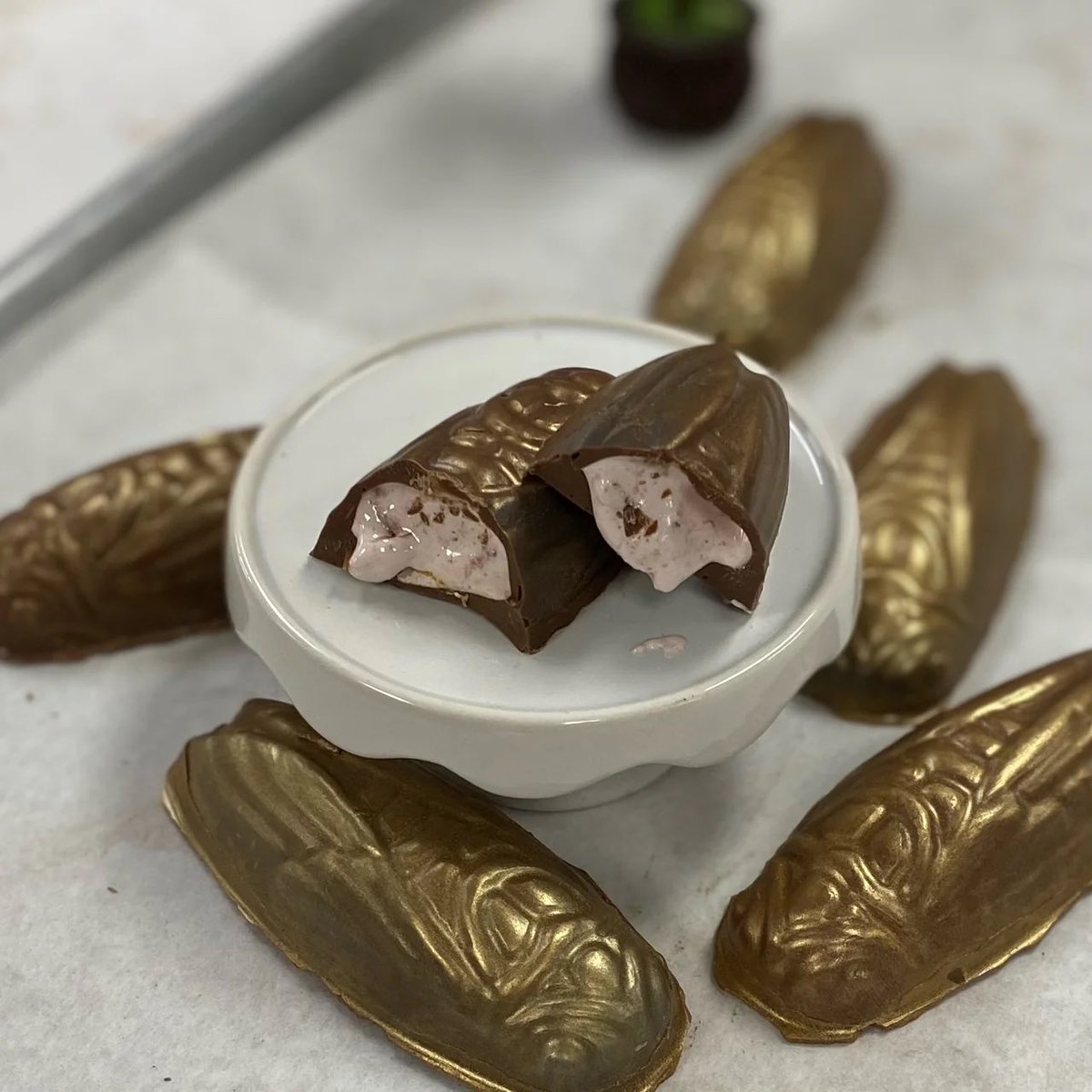 Calling all bug lovers! Our cicada chocolates are ready to rock your summer 🍫🪳 With marshmallow filling and red peppermint crunch these are sure to change your opinion on our noisy summer vacationers 😉

chouquette.us/products/large…