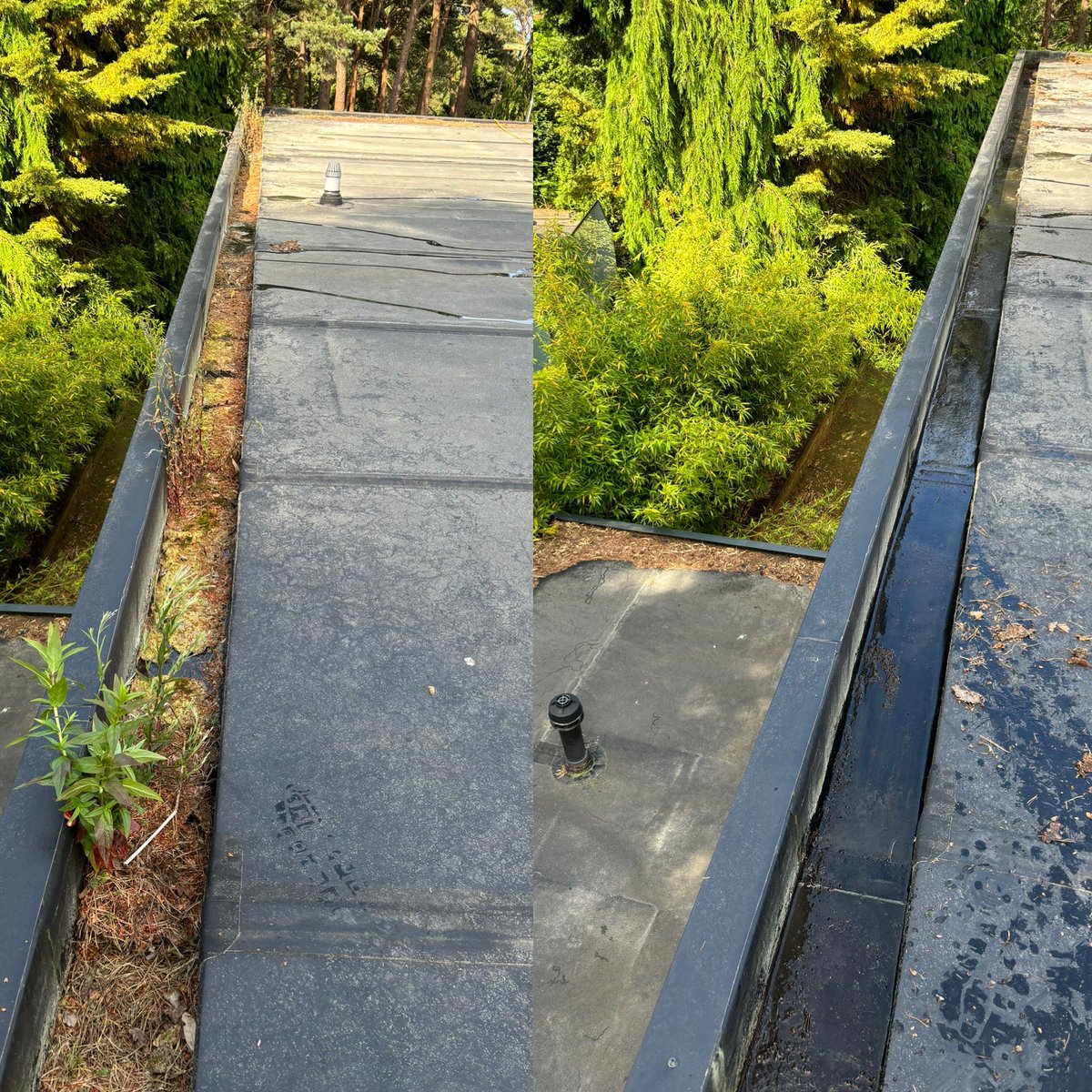 bluecloverclean's tweet photo. A full MOT on this property in Canford Cliffs today by the team , which included :
• Window Cleaning
• Gutter Clear / Clean 
•Conservatory Roof Clean 
#windowcleaning 
#Exteriorclean
#Poole
#Bournemouth https://t.co/78EsU7wY3p