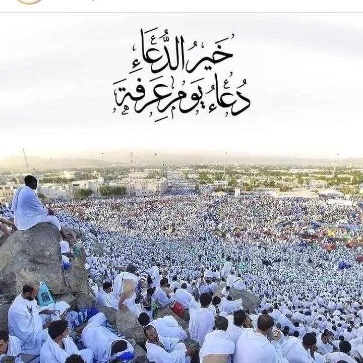 لعلك تحتاجها في يوم عرفة دي كل الأدعية اللي في المصحف وكمان مرتبة ﺣﺴﺐ ﺗﺮﺗﻴﺐ ﺍﻟﻤﺼﺤﻒ ﺍﻟﺸﺮﻳﻒ ♥️

مفضلة ♥️ اذا مشغول 

1- ﺭﺑﻨﺎ ﺗﻘﺒﻞ ﻣﻨﺎ ﺇﻧﻚ ﺃﻧﺖ ﺍﻟﺴﻤﻴﻊ ﺍﻟﻌﻠﻴﻢ، ﻭﺗﺐ ﻋﻠﻴﻨﺎ ﺇﻧﻚ ﺃﻧﺖ ﺍﻟﺘﻮﺍﺏ ﺍﻟﺮﺣﻴﻢ.
2- ﺭﺑﻨﺎ