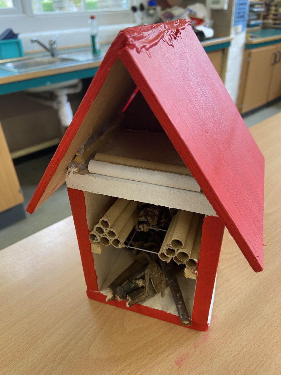 BerwickMiddle's tweet photo. Beautiful ‘Bee Hotels’ from Year 8 https://t.co/i0cCYfPqKX