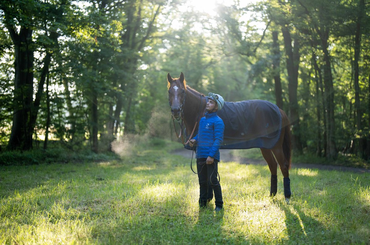 edward_whitaker's tweet image. French 2000 Guineas Metropolitan photographed in the forest of Chantilly with his jockey Simone Garau #francegalop #chantilly #horseracing #racingpost #sonya1 #gmaster @racingpost @fgchantilly