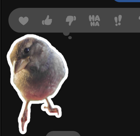 AllieJayHey's tweet photo. Joe and I only speak in our bird stickers now https://t.co/lZd7EU5OTn