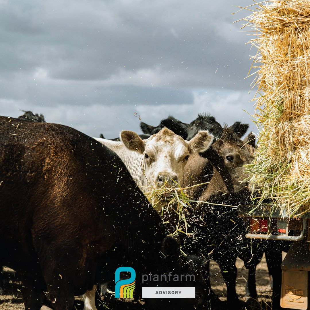 Planfarm Advisory tweet media