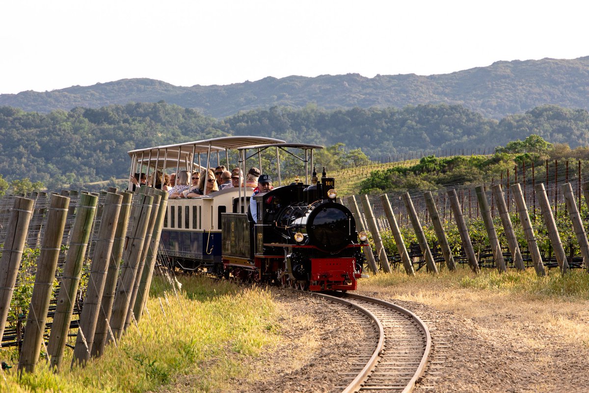 Looking for a unique Father's Day activity? Add a twist to your Paso Wine experience! ⁠There is no shortage of adventures to share with dad in Paso Robles wine country! Check out pasowine.com for wine country events and activities: pasowine.com/events/