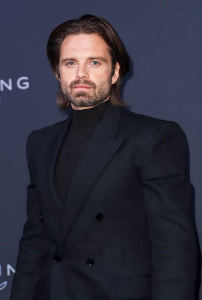sebstan44's tweet photo. In this household we stan long haired Sebastian Stan 💅✌️ https://t.co/uwsDhIHu06