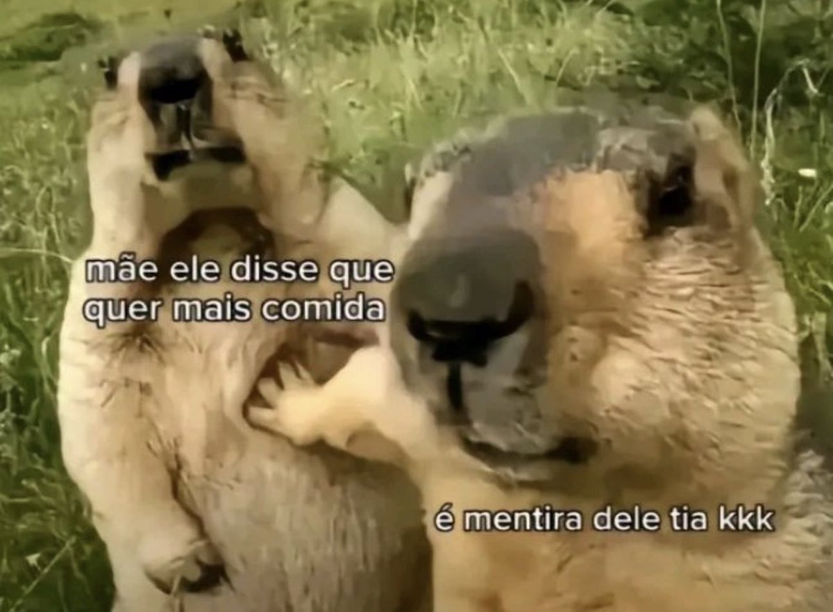 shitpostverdade's tweet photo. https://t.co/dvzfiMerVS