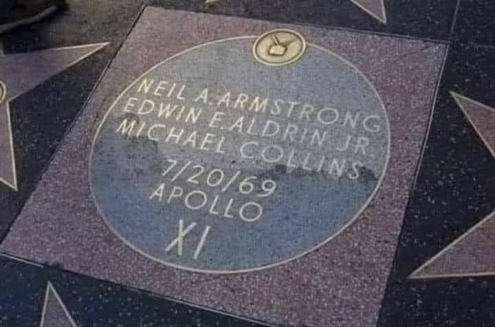 Stew Peters tweet media