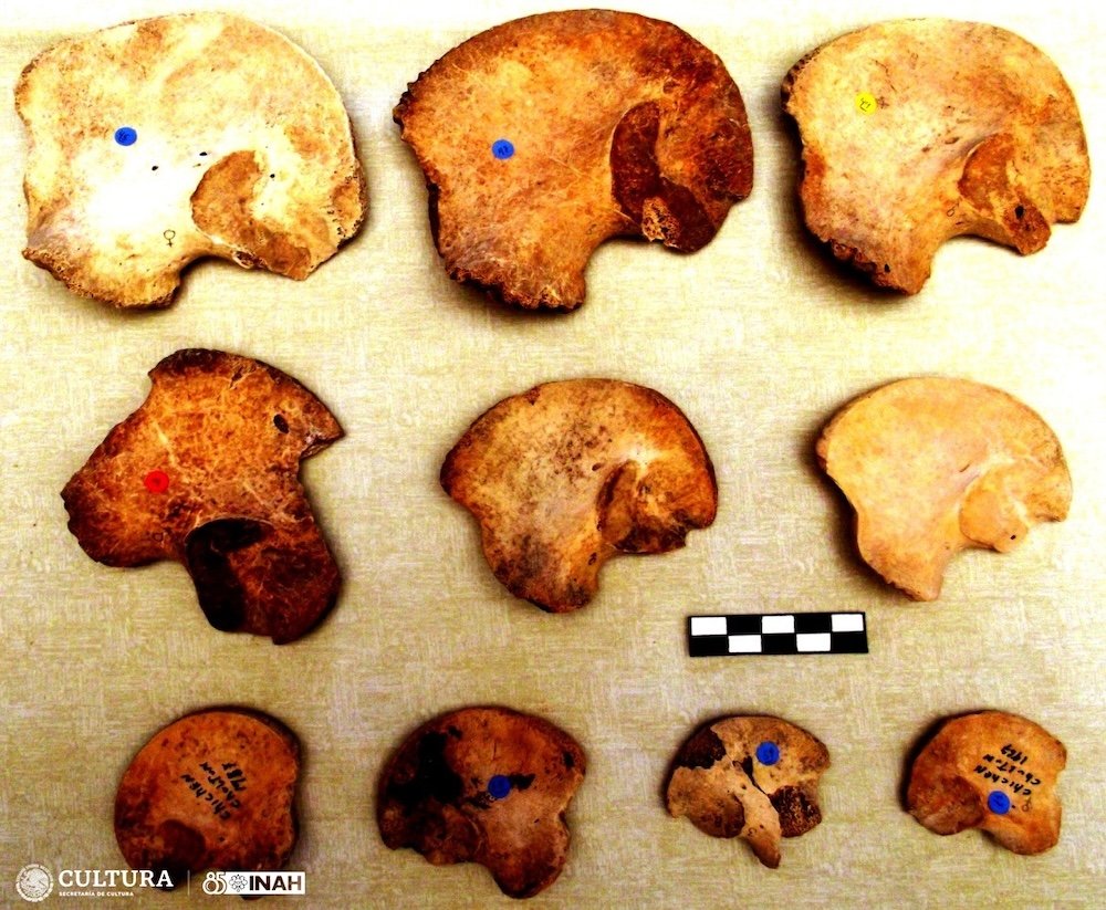 La investigación, publicada en la revista Nature, recoge el hallazgo inédito de dos pares de gemelos idénticos en contextos funerarios mayas de la antigüedad. Foto: Oana del Castillo.