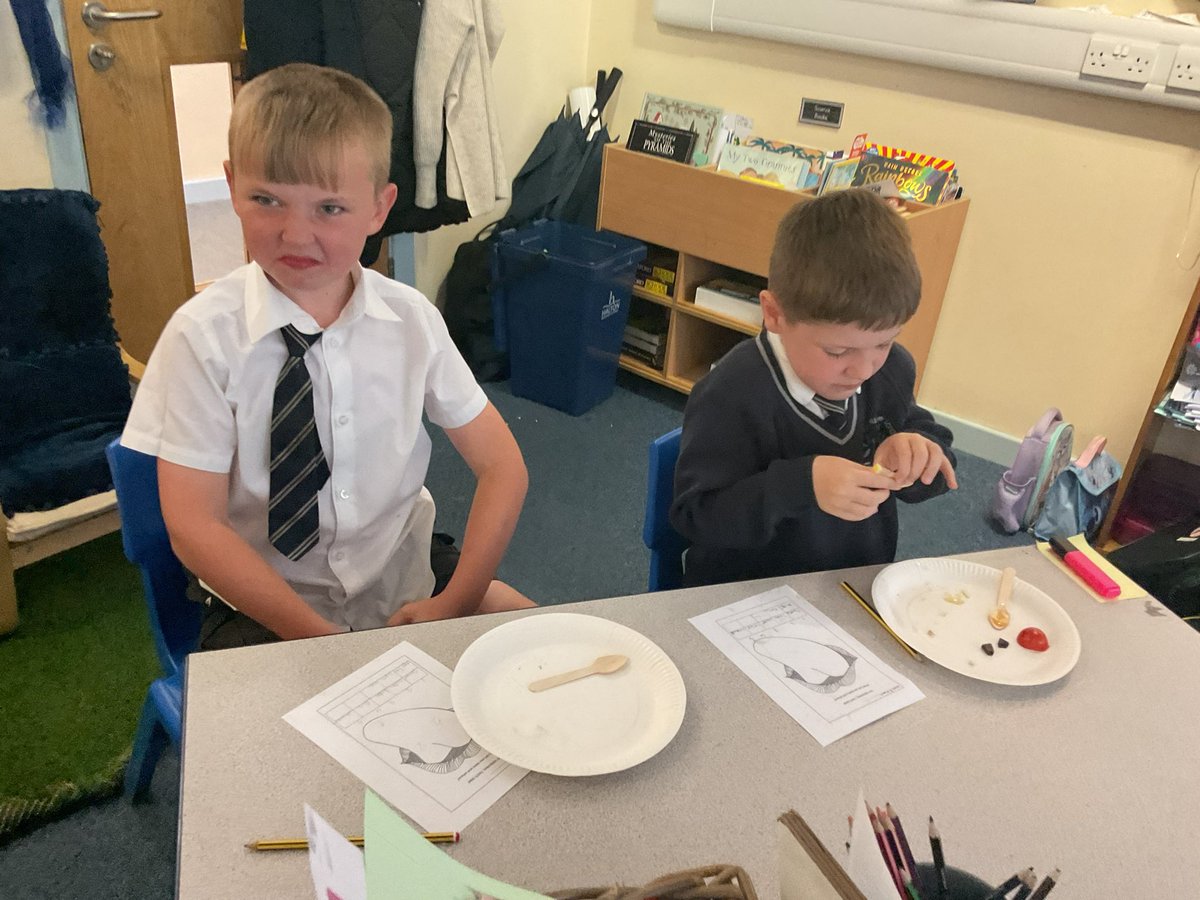 FPS_3_PCrystals's tweet image. What a great experience we had today with chef James and EFC in the community! We loved learning all about our tastebuds and trying some different foods. 😊🥖🍋🍿🍫 #fpsscience