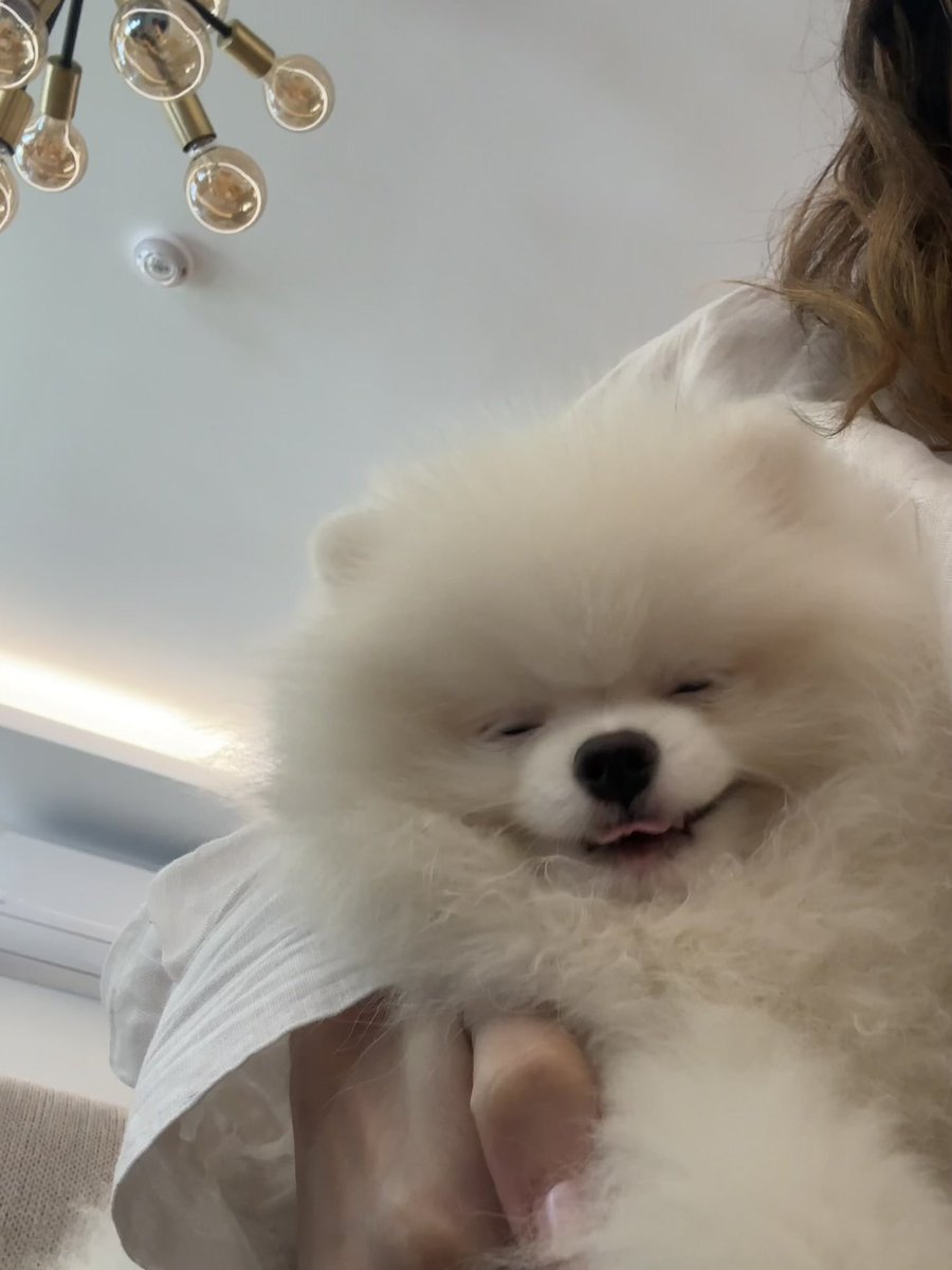 eb_ruee's tweet photo. If you’re having a bad day here’s a pic of my dog with her heart shaped tongue. You’re welcome.💌 https://t.co/9oWToGTcxz