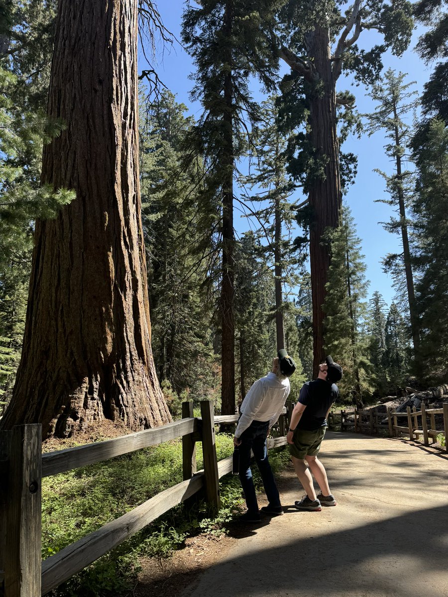 IVWS (@intvwoolfsoc) on Twitter photo Whew! We are back from Fresno State University where Woolfians from all over the world convened this past week for the 33rd Annual International Conference on Virginia Woolf hosted by J. Ashley Foster  & her most excellent program committee & team student volunteers! Whew! We are back from Fresno State University where Woolfians from all over the world convened this past week for the 33rd Annual International Conference on Virginia Woolf hosted by J. Ashley Foster  & her most excellent program committee & team student volunteers!