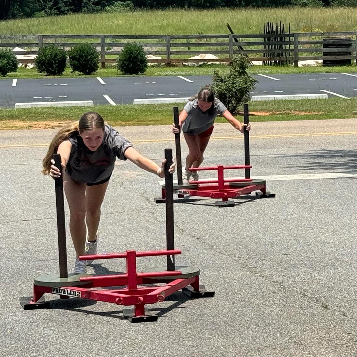 North Oconee Softball tweet media