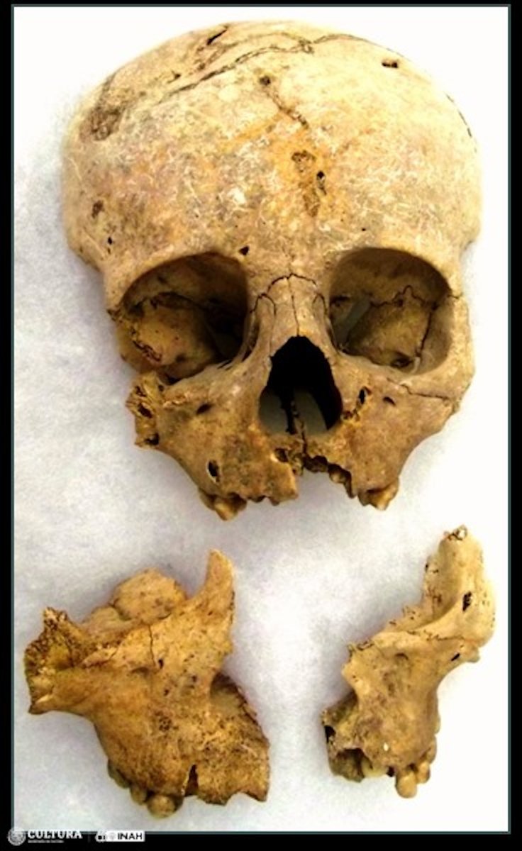 cultura_mx's tweet photo. Niños y gemelos eran sacrificados en Chichén Itzá, revela estudio de genomas antiguos

🔹 Así lo da a conocer un artículo publicado en la revista "Nature",  en el cual participaron cuatro investigadores adscritos al @INAHmx.

🔗 https://t.co/2mJ1od9XIe https://t.co/jlXsglMmOh