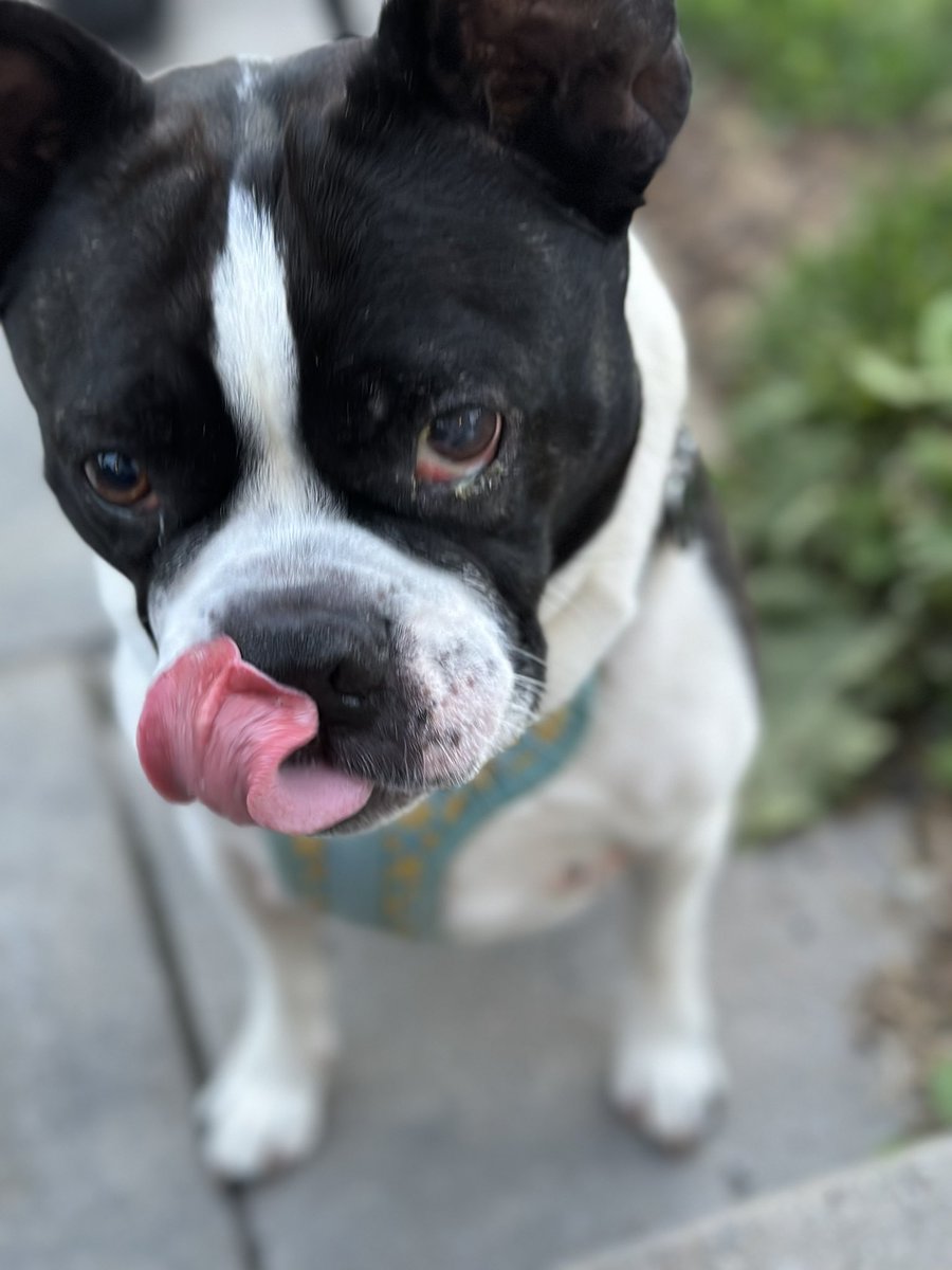 Can you touch your nose with your tongue?