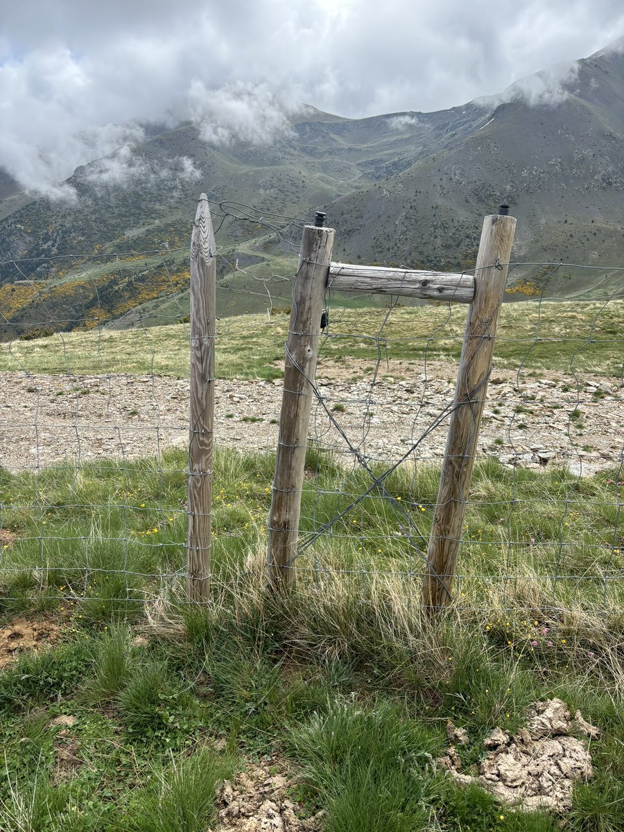 xavik64's tweet photo. Seguim obrint portes… seguim fent camí.
Però no tot és com voldries o t’agradaria.
Salut i muntanyes per tots i totes.
Bona nit.
#muntanya #moments #camins #instint https://t.co/VHRSsMGfhN