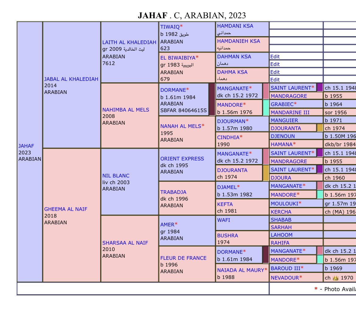 مهر 2023 ✅

الاب /جبل الخالدية  ابن ليث الخالدية 

الام / غيمة النايف تنحدر من سلالة عريقه (نيفادا )انجبت العديد من الابطال G1 ليدي برنسس نوريسك الموري   مستر جينوكس سيلفين الموري  داحس  نظام ….  وغيرهم