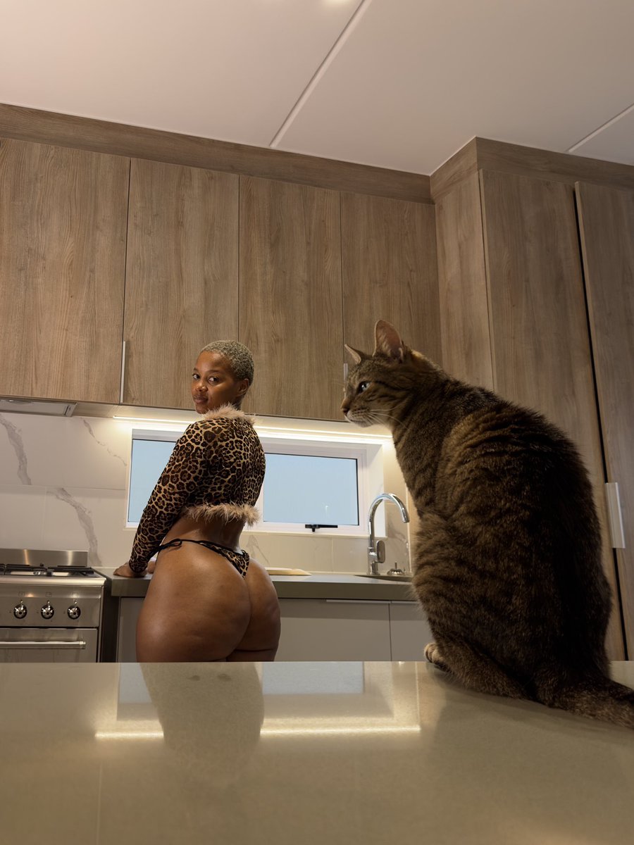 BadestMelanin's tweet photo. >>>>>That Cat...🐱💛✨ https://t.co/wfG03uzjDN