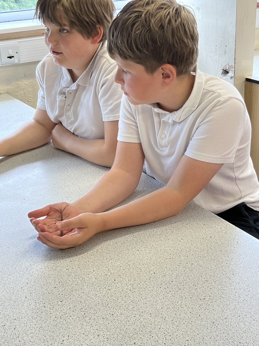Class 3 tweet media