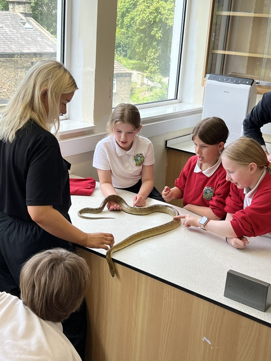 Class 3 tweet media