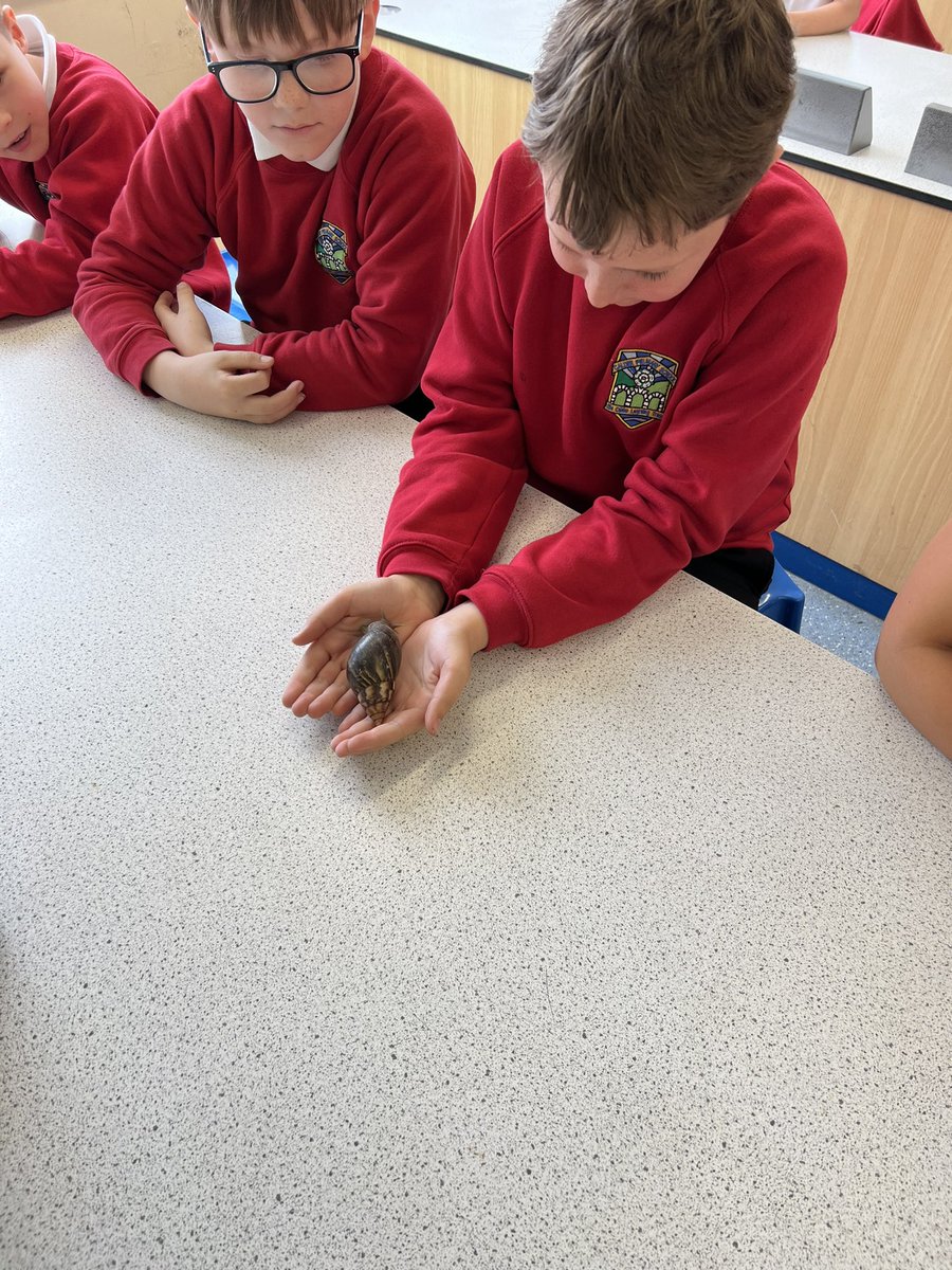 Class 3 tweet media