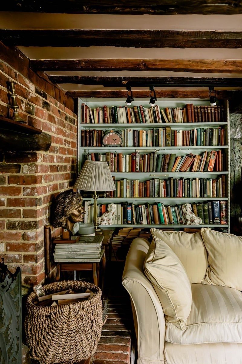 La belleza de los libros