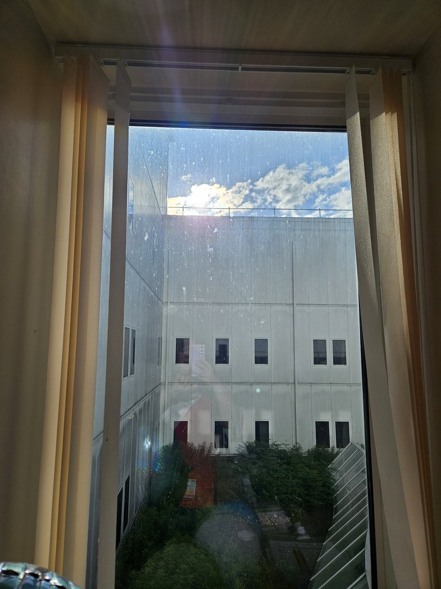 sylvia devenay tweet media