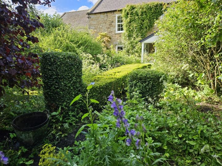 HTrail2019's tweet photo. What a glorious evening, if not a little chilly.  We've nearly mentioned all our beautiful gardens, just four to go.
Today's garden is a wild woodland garden, with birds, bees, ponies and hens.  Like many others it was flooded over the winter so please make allowances! https://t.co/z6Qvv6Rsil