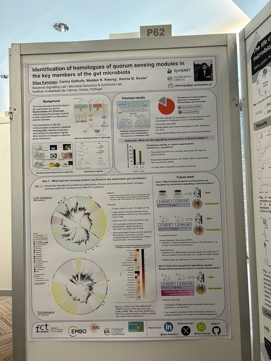 Slipakanungo's tweet image. Presenting my PhD project and its objectives at @SymbNET International Conference. Thank you @KarinaXavierLab and @wk_kwong and team for your supervision! #symbNET2024 #QuorumSensing #Phylogeny #hostpathogenInteractions