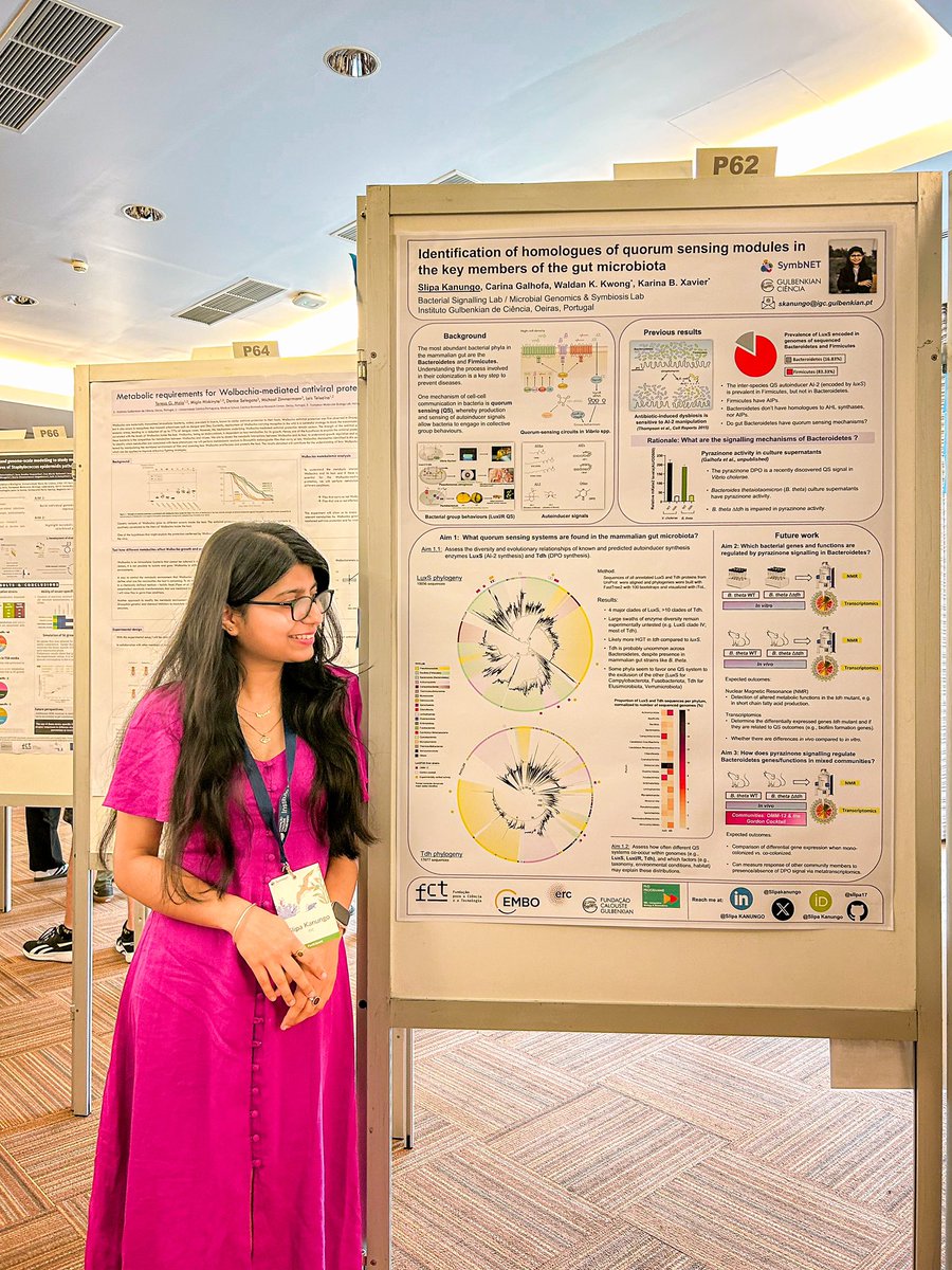 Slipakanungo's tweet image. Presenting my PhD project and its objectives at @SymbNET International Conference. Thank you @KarinaXavierLab and @wk_kwong and team for your supervision! #symbNET2024 #QuorumSensing #Phylogeny #hostpathogenInteractions