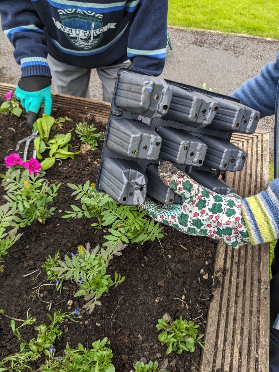Gardening club this morning. The residents really enjoyed themselves. We are glad the weather stayed fine. #gardeningtips #summerplanting #goodweather