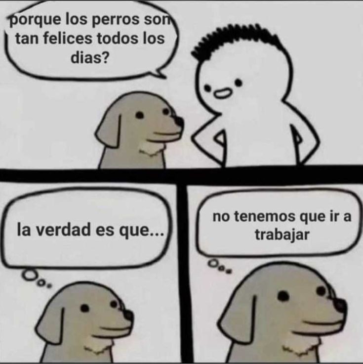 Girgrinch9's tweet photo. Exactamente.... jajajaja https://t.co/IZiT14o4gF